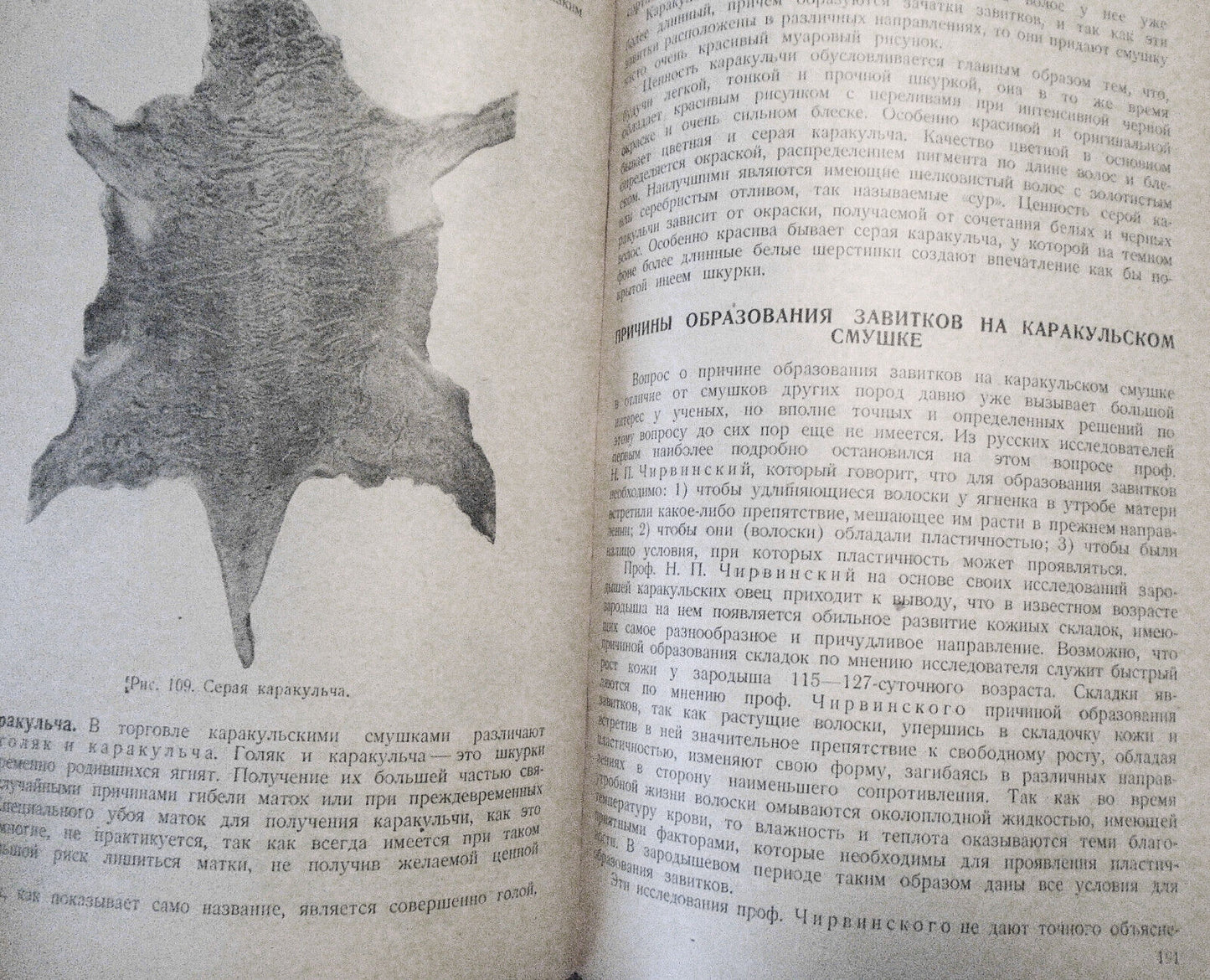 Ovtsevodstvo, by M. F. Ivanov. 1933. Moscow. Sheep breeding. In Russian