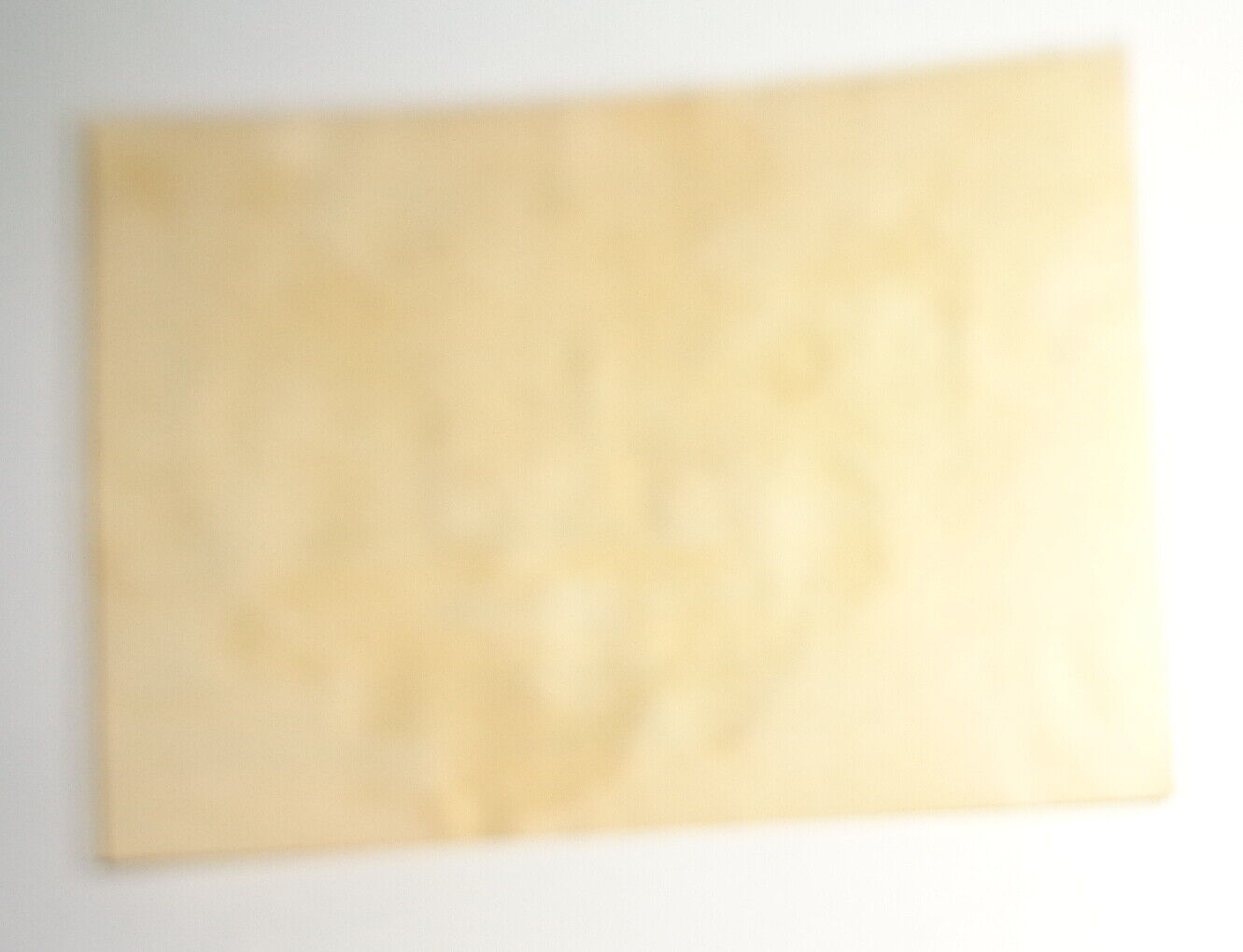 Sara E. Machin - Ex Libris Bookplate.