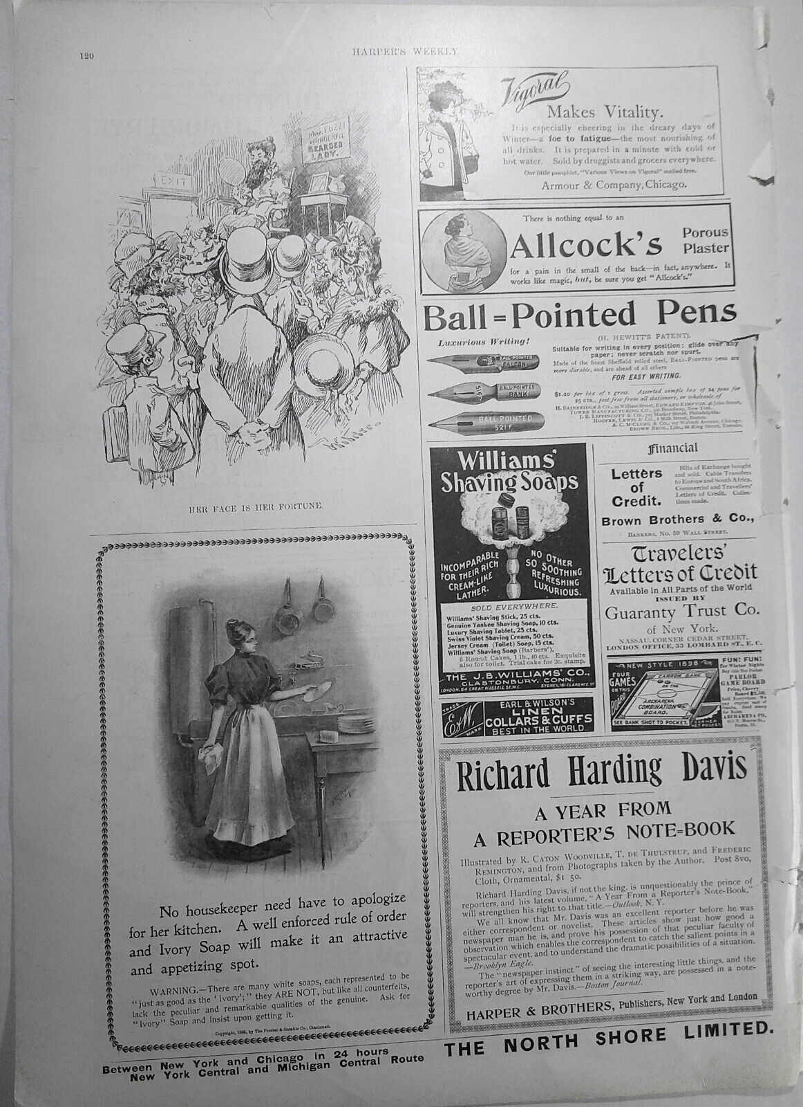 Her Face is her Fortune - Harper's Weekly, January 29, 1898