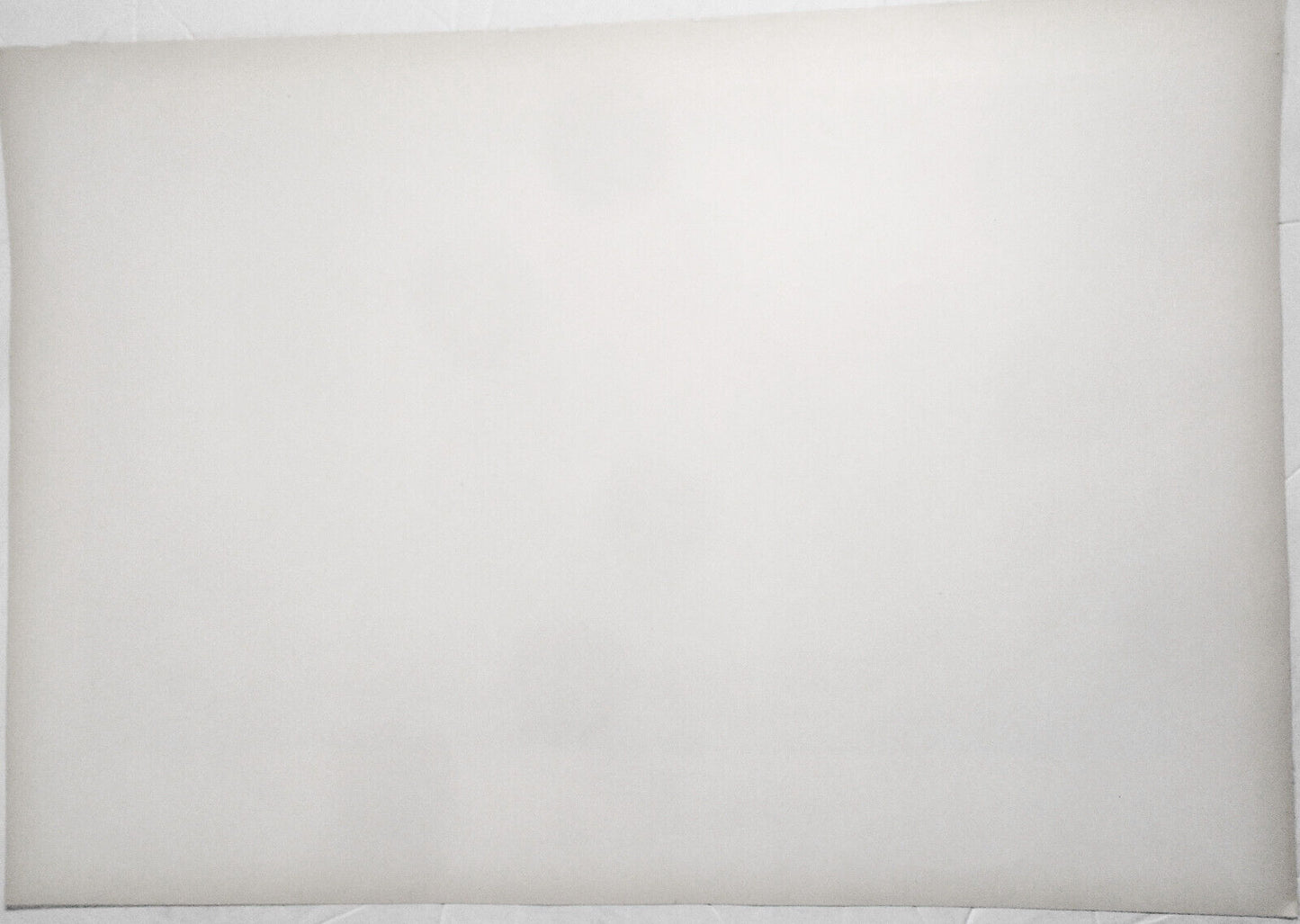 Sieger, by Basil Wereshagin -- 1882