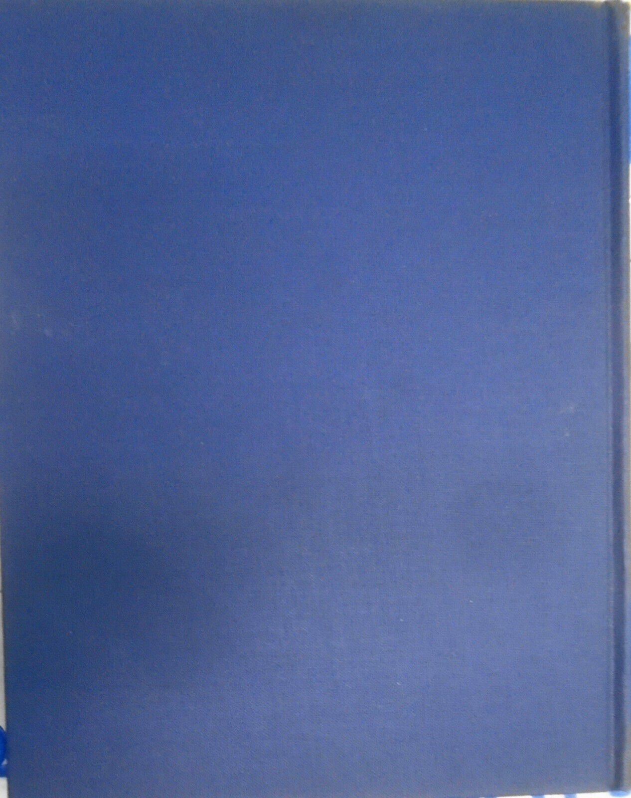 1928 Dutch & Flemish Fruit & Flower Painters of 17th & 18th Centuries - 1st ed