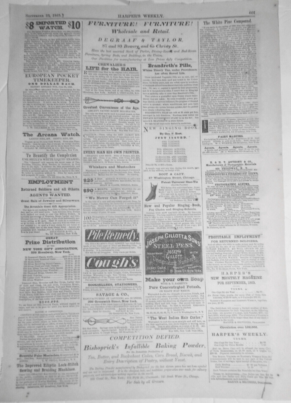 A Hint to Phrenologists; or, September 20, 1878 - in Harper's Weekly, 1865