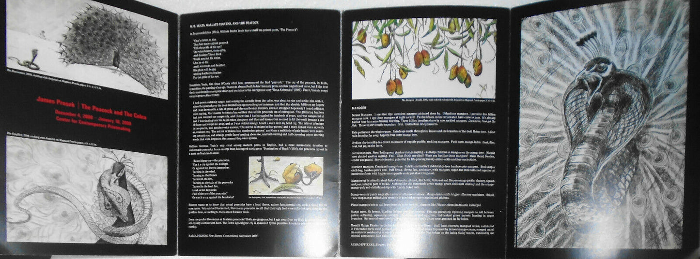 James Prosek : the peacock and the cobra. 2008. 8-page fold-out Catalog
