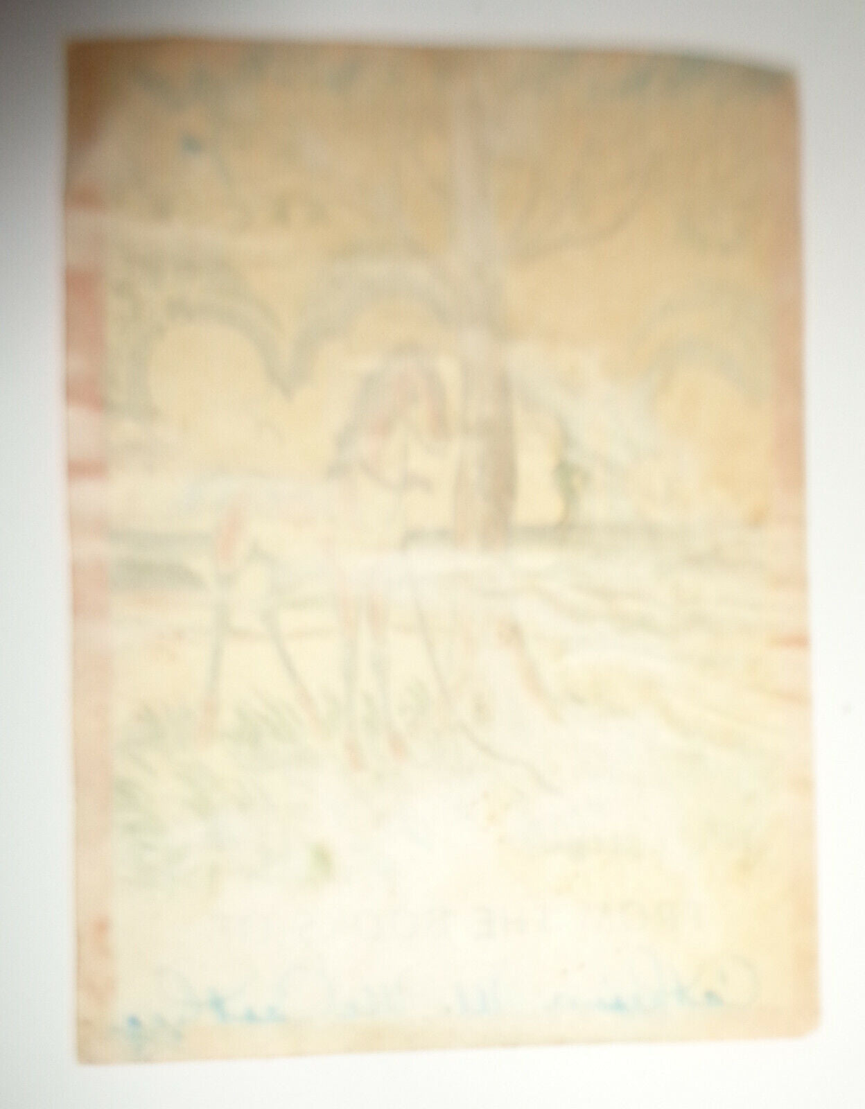 Catherine M. McCarthy Ex Libris Bookplate