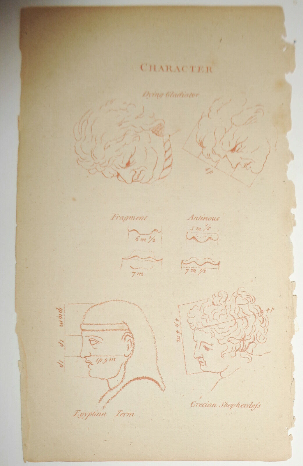 1786 - Character : Dying Gladiator, etc. -- Plate from The Artist's Repository
