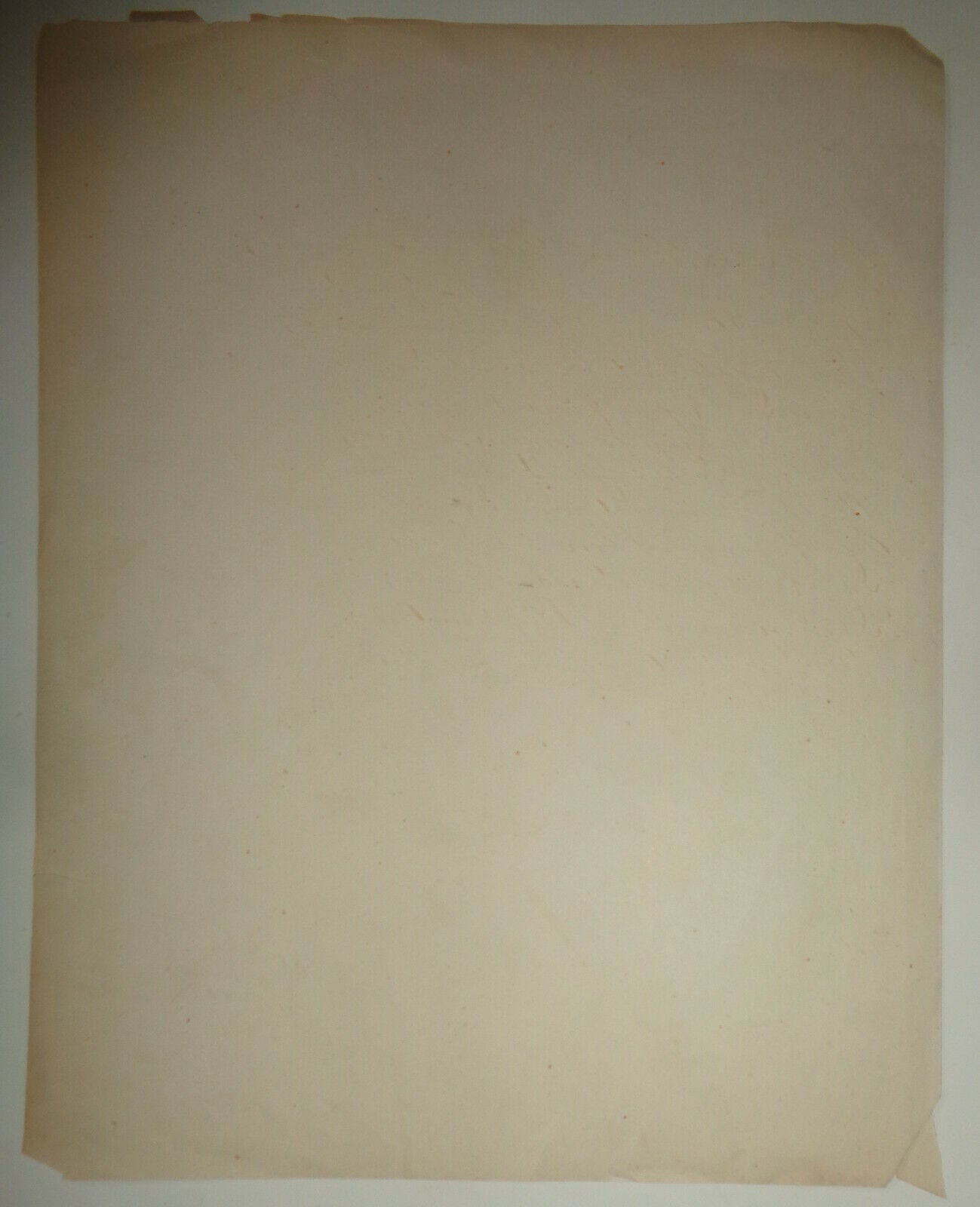 1876 Ornate hand-written embossed chromolithograph Christmas Greeting