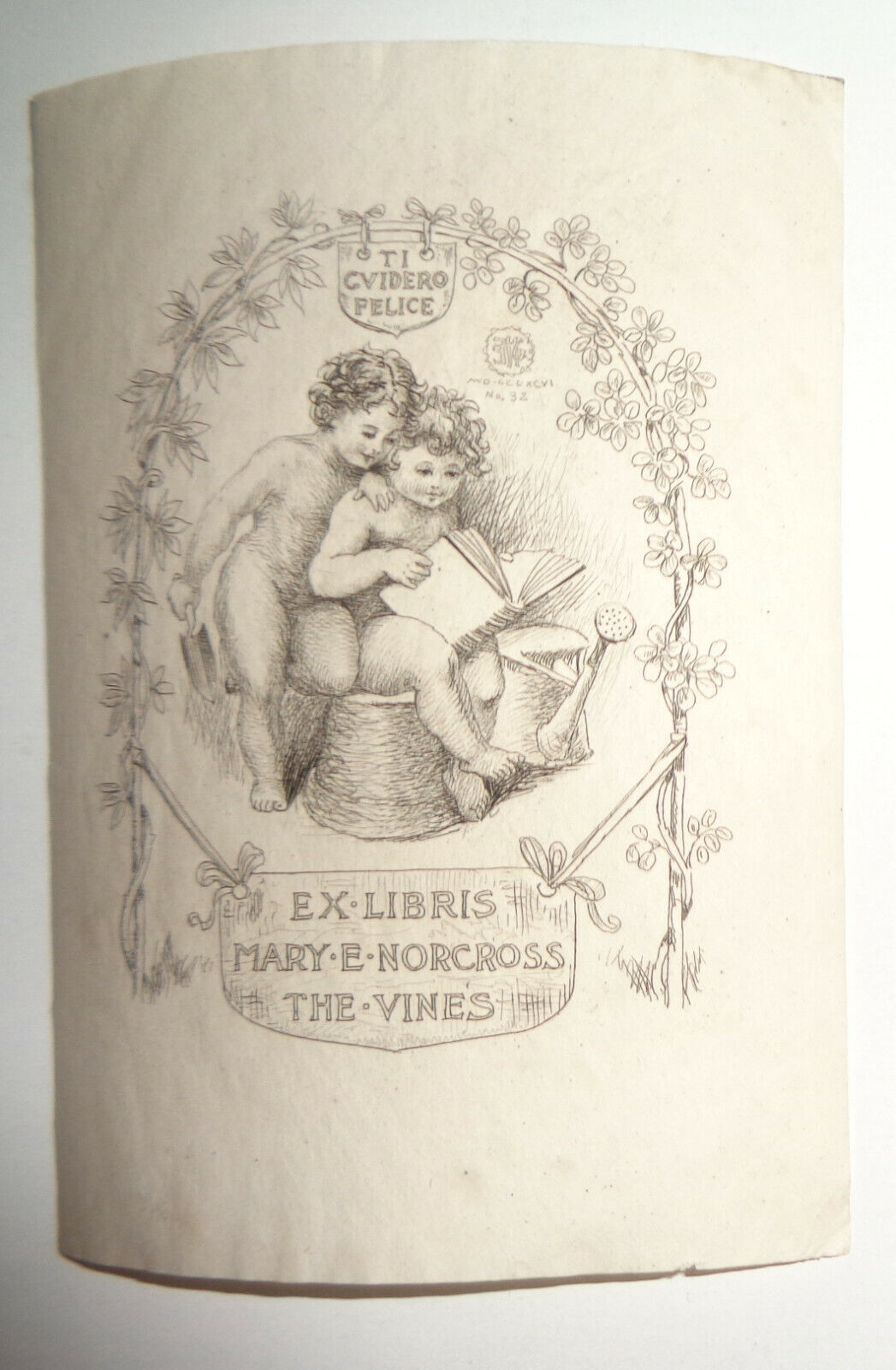 Mary E. Norcross, The Vines - Ex Libris Bookplate - by Edmund H. Garrett - 1896