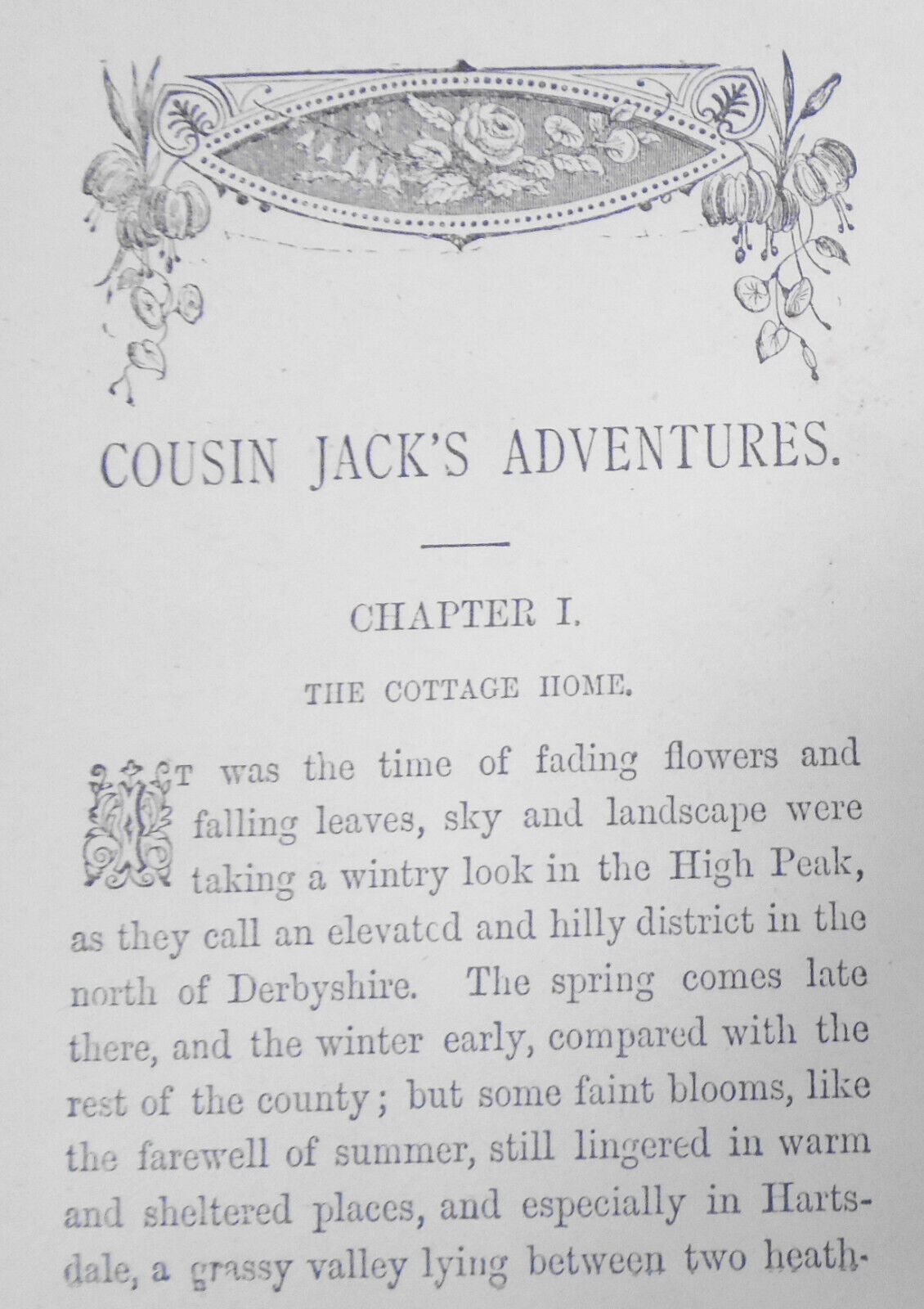Cousin Jack's Adventures. 1887.
