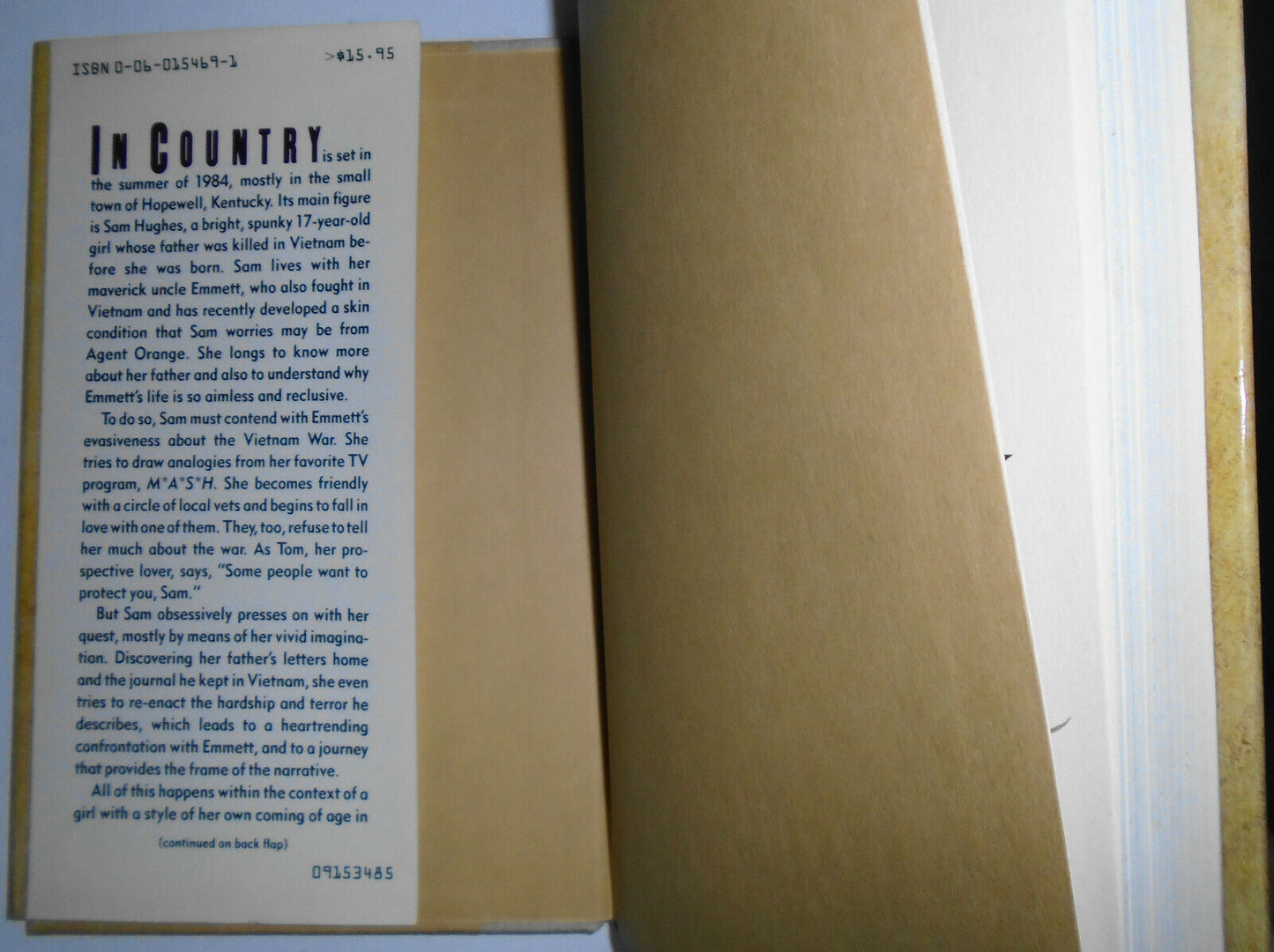 IN COUNTRY by Bobbie Ann Mason SIGNED First Edition, 1st Printing 1985 Fine/Fine