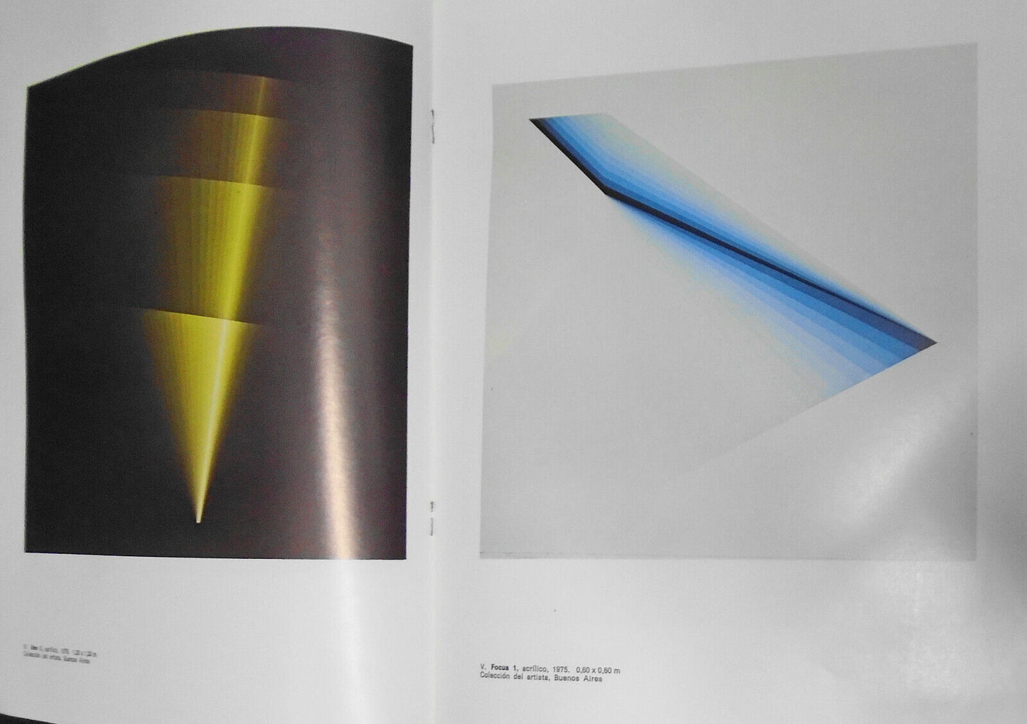 Brizzi : Pintores Argentinos del Siglo XX, 39. 1981. Text by Fermin Fevre