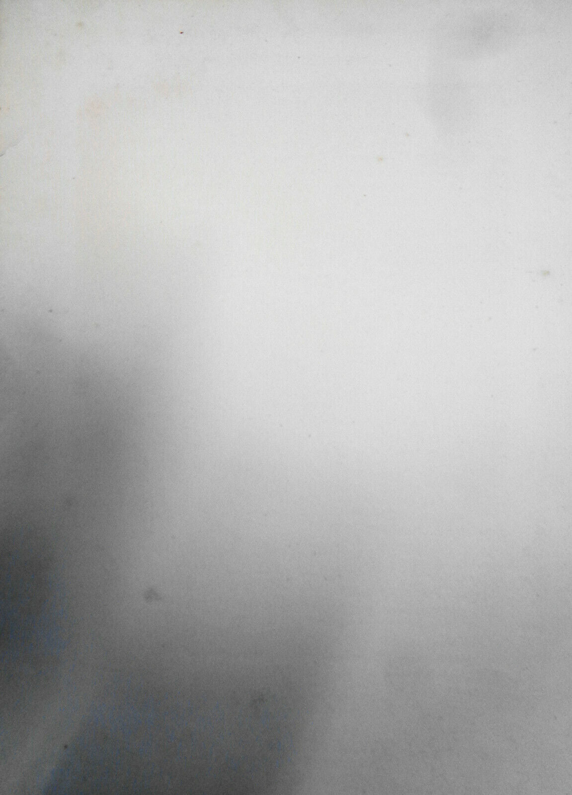 Henry, Lord Brougham - original engraving - 1876 - Duyckinck Int'l Gallerie