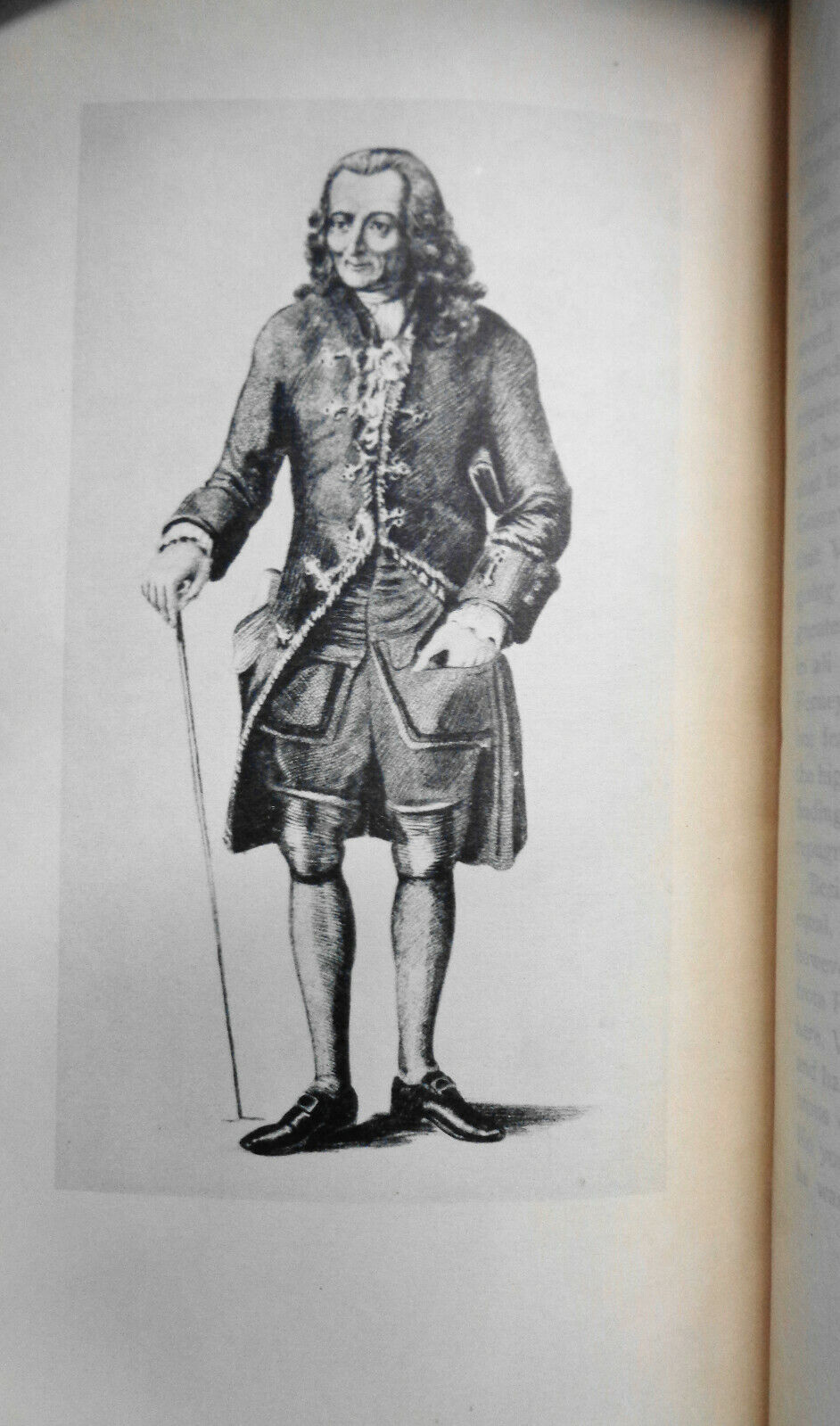 A Biographical Critique of Voltaire by John Morley - 1901 Limited edition