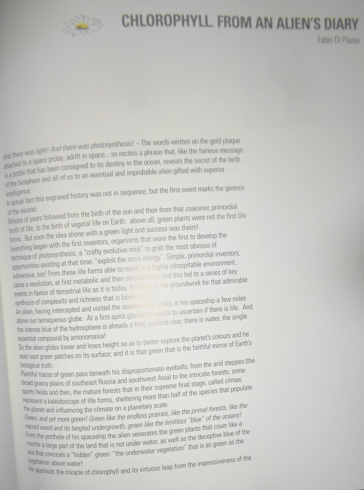 Fulvio Di Piazza: CLOROFILLA. Mantua, Bonelli Arte Contemporanea, 2006 Hardcover