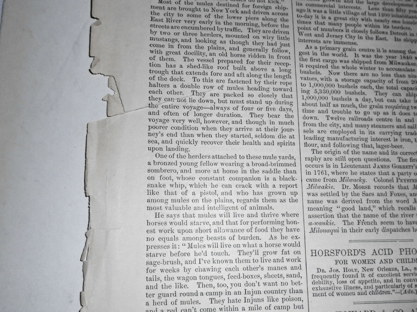 The Menhaden Fishery / Our Japanese Visitors - Harper's Weekly 1882