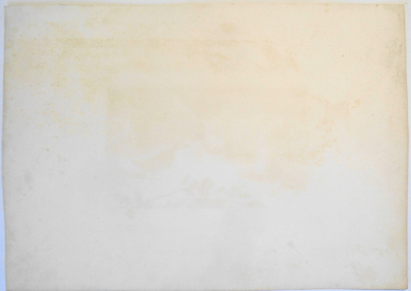 1809 Water Ouzel, by William Daniell