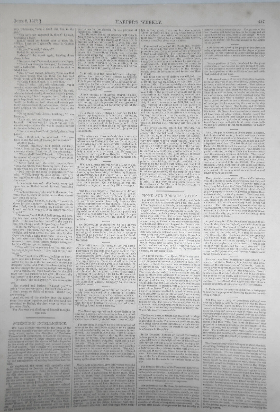 A Russian Outpost of the Advanced Guard in Roumania - Harper's Weekly, 1877