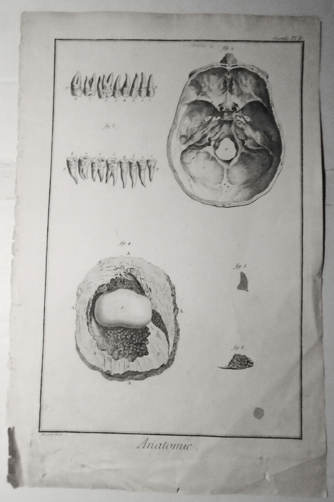 1762 - Anatomie : Seconde Pl II. Prevost fecit. - Diderot Encyclopedie