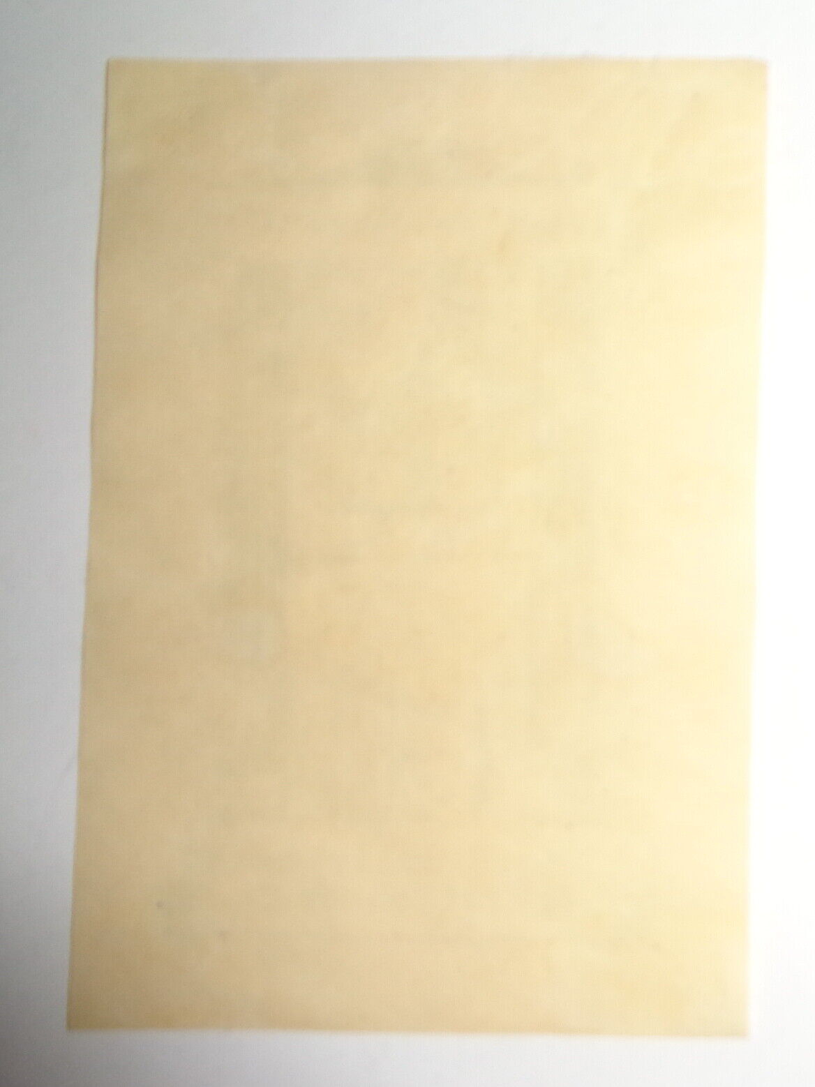 Louis Mollenhauer Ex Libris Bookplate - 1920's
