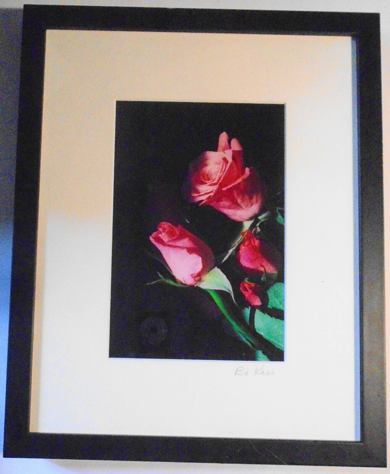 Bo Kass : Pink Roses - SIGNED original C-Print, framed