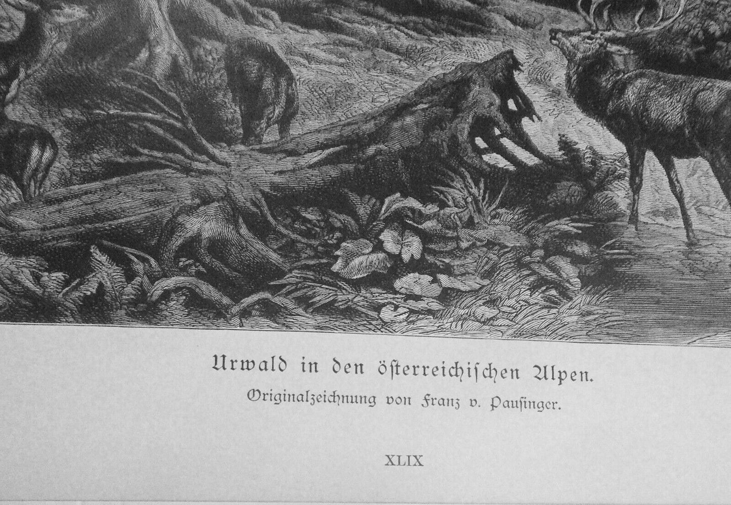 Urwald in den österreichischen Alpen, by Franz von Pausinger -- 1886