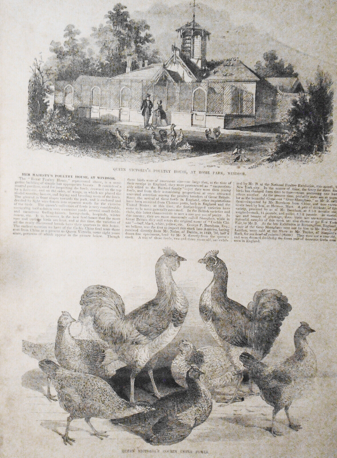 Gleason's Pictorial February 11, 1854 - Pike Fishing, Daguerre's Monument, etc