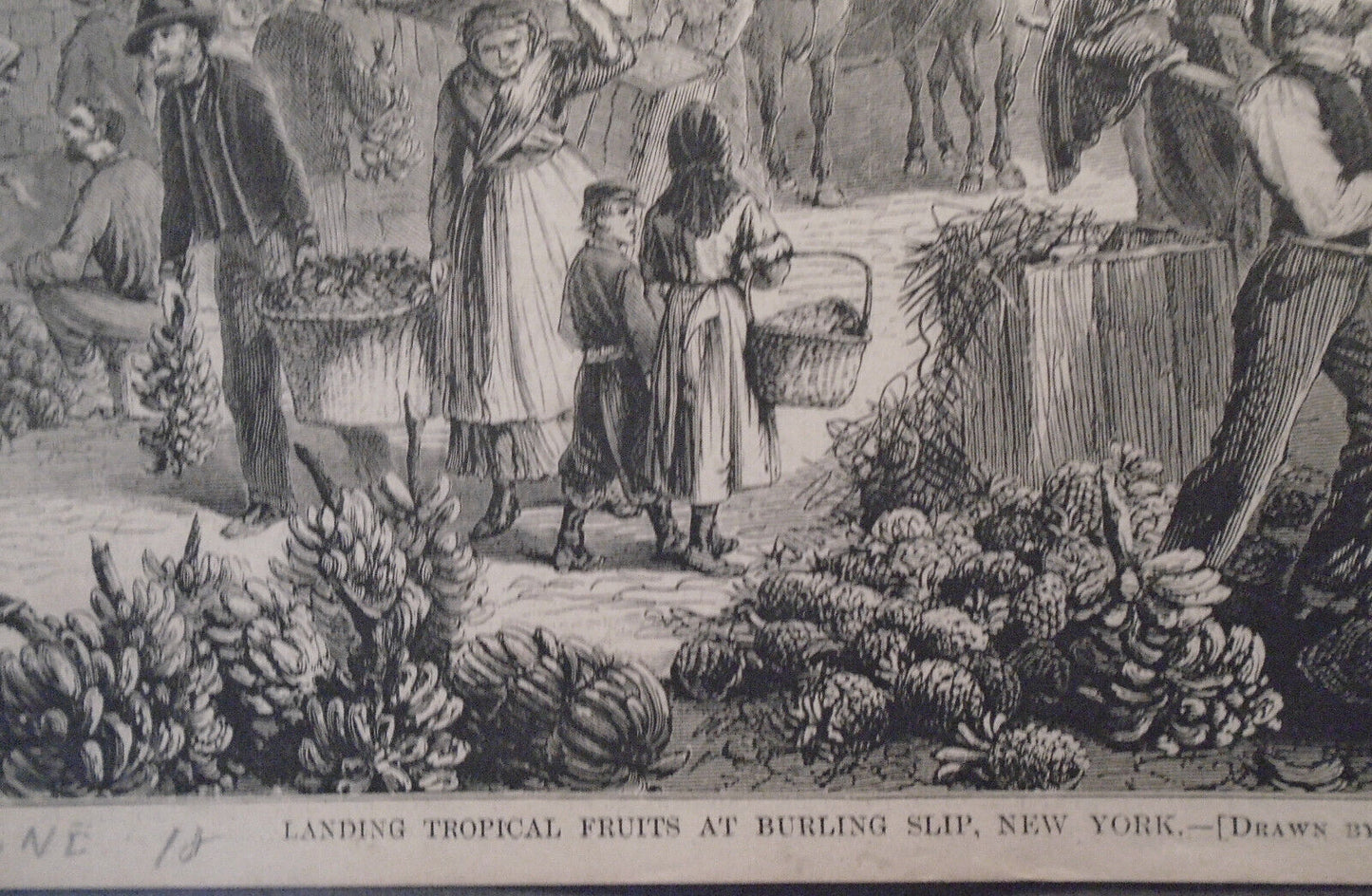 Landing Tropical Fruits At Burling Slip New York Harper's Weekly Engraving 1870