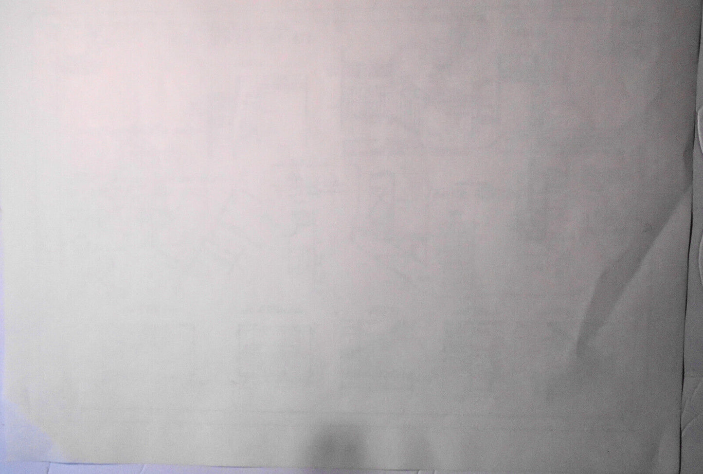 1934 Ellis Island Immigrant Building, Architectural Floor Plan - 21 x 15 inches