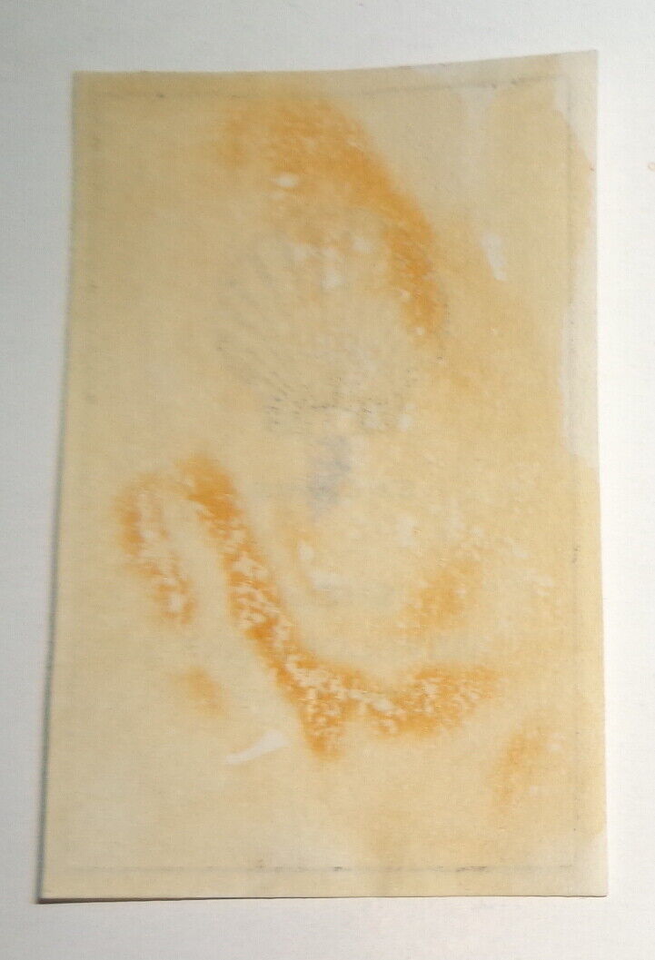Shell Development Company - Ex Libris Bookplate - circa 1930