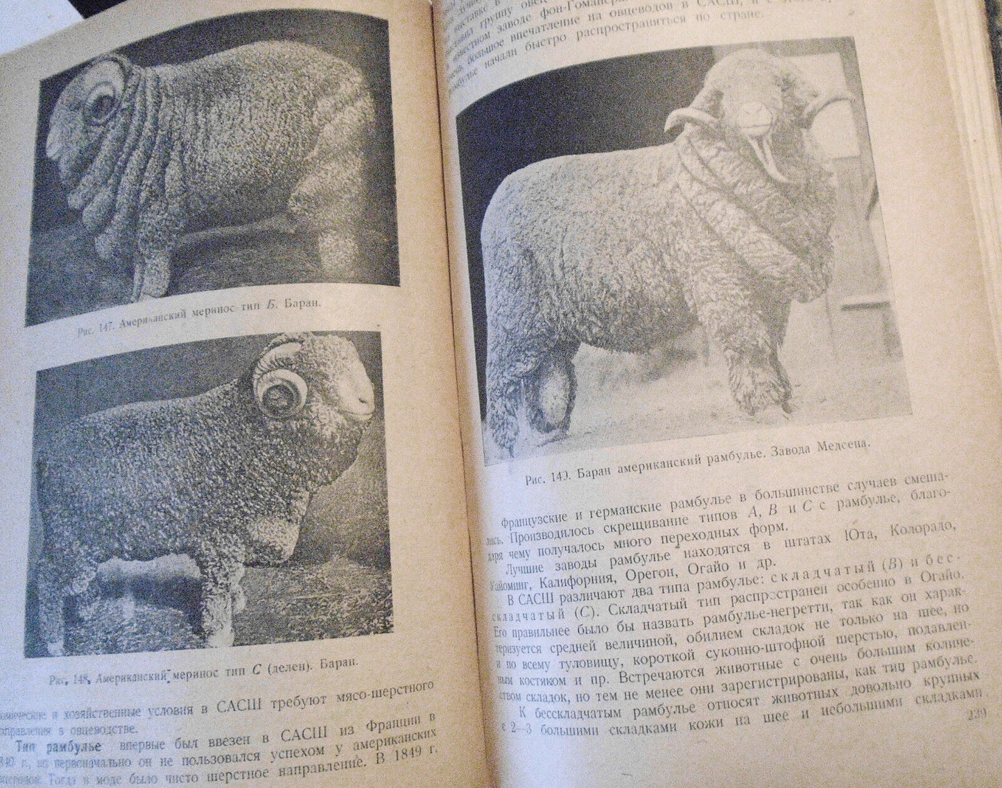 Ovtsevodstvo, by M. F. Ivanov. 1933. Moscow. Sheep breeding. In Russian