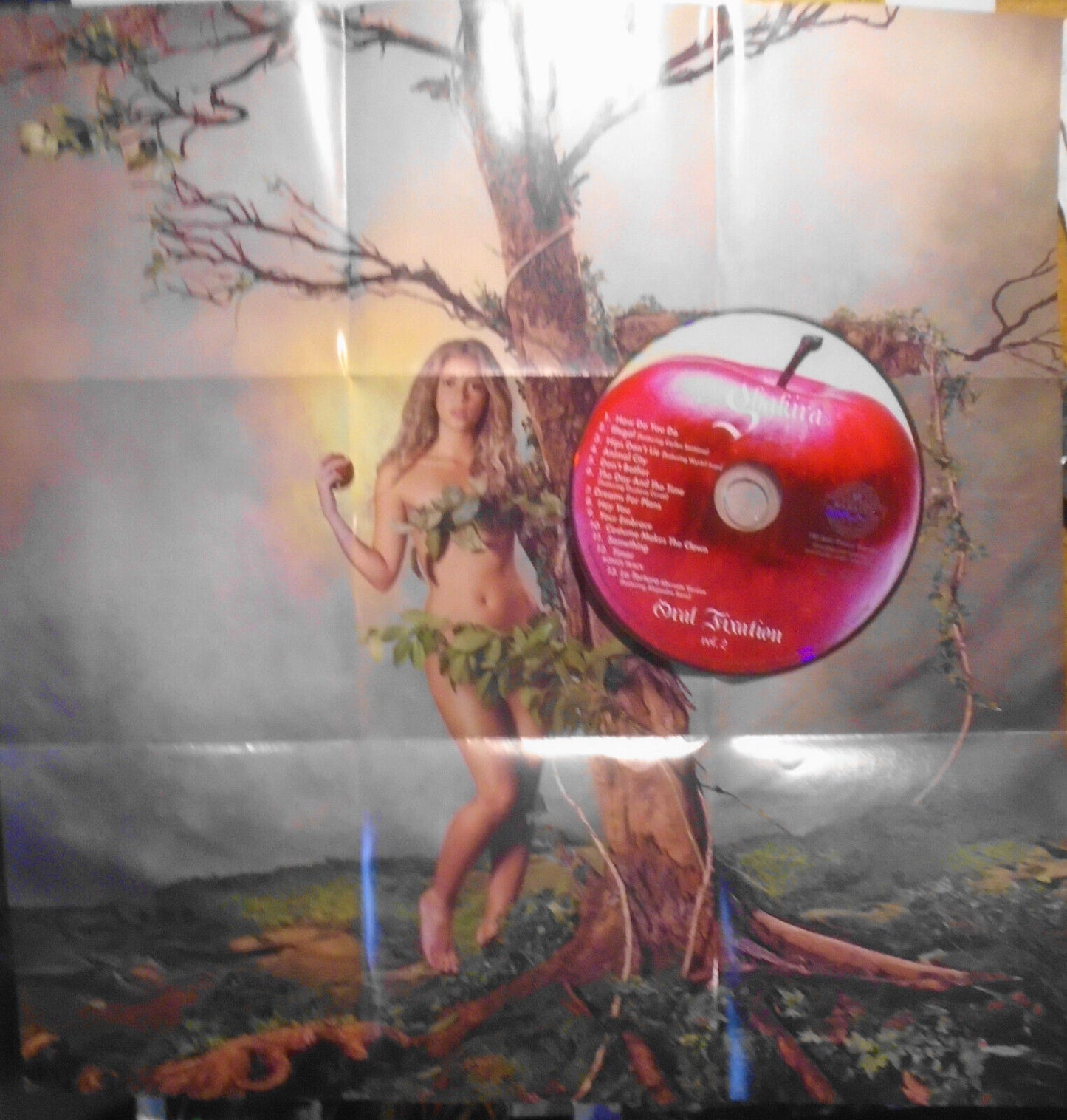 6 CDs lot: Shakira, Sinead O'Connor, Sade, Suzanne Vega, Skin, Sophie B. Hawkins