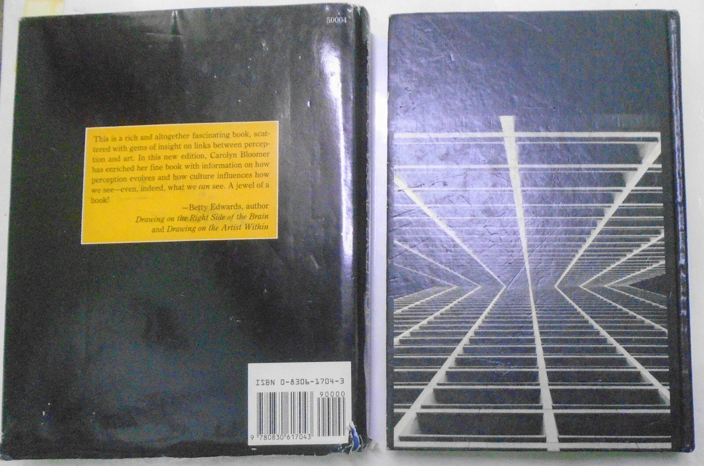 Perception, by Lloyd Kaufman & Principles of Visual Perception, by Bloomer