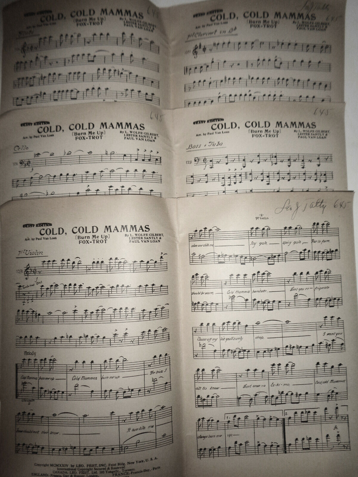 Cold, cold mammas (burn me up) fox-trot 1924 for orchestra by L Wolfe Gilbert
