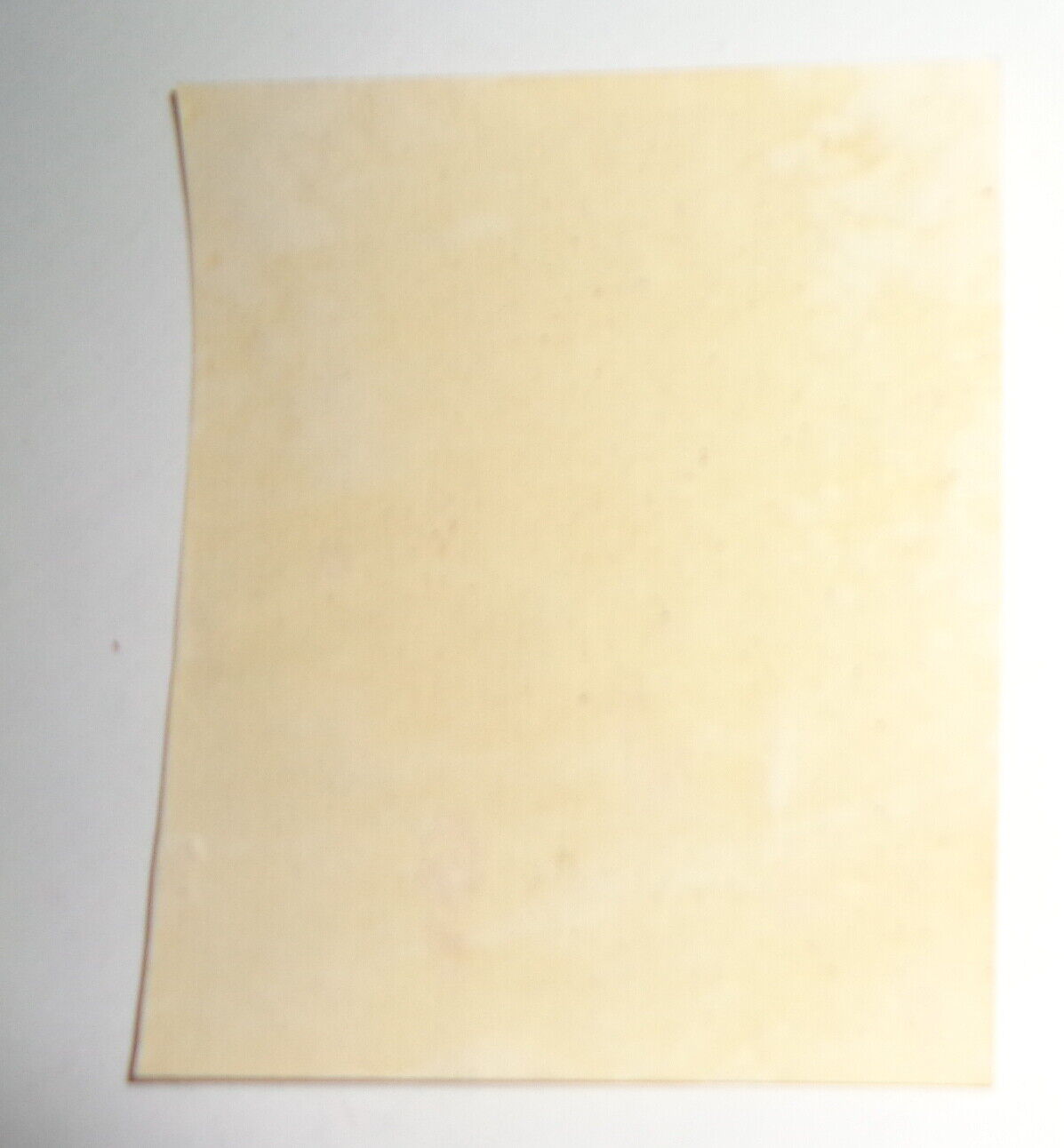 Edward Vogel Ex Libris Bookplate signed "M" in plate