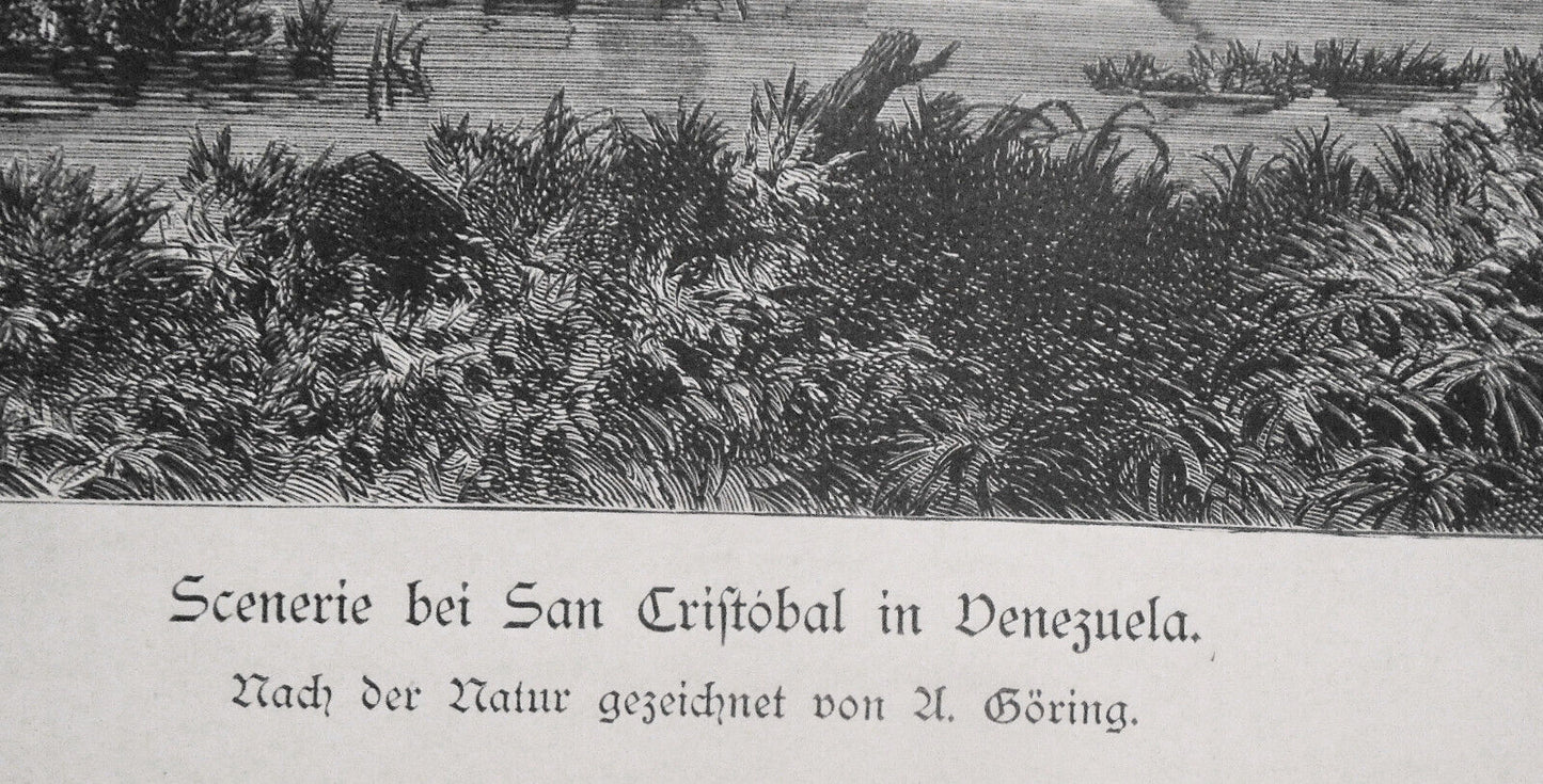 Scenerie bei San Cristobal in Venezuela, by A. Göring - 1884 Original