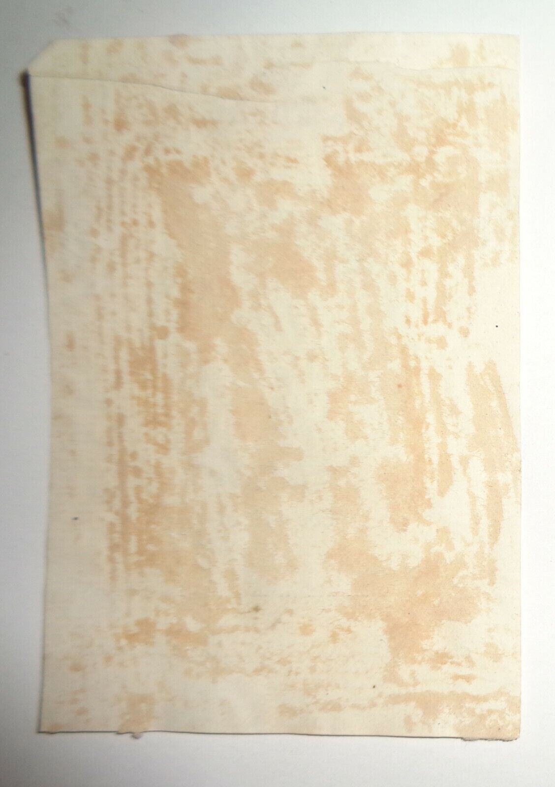 New Jersey Historical Society Bookplate - 19th century - Gift of Samuel H. Hunt