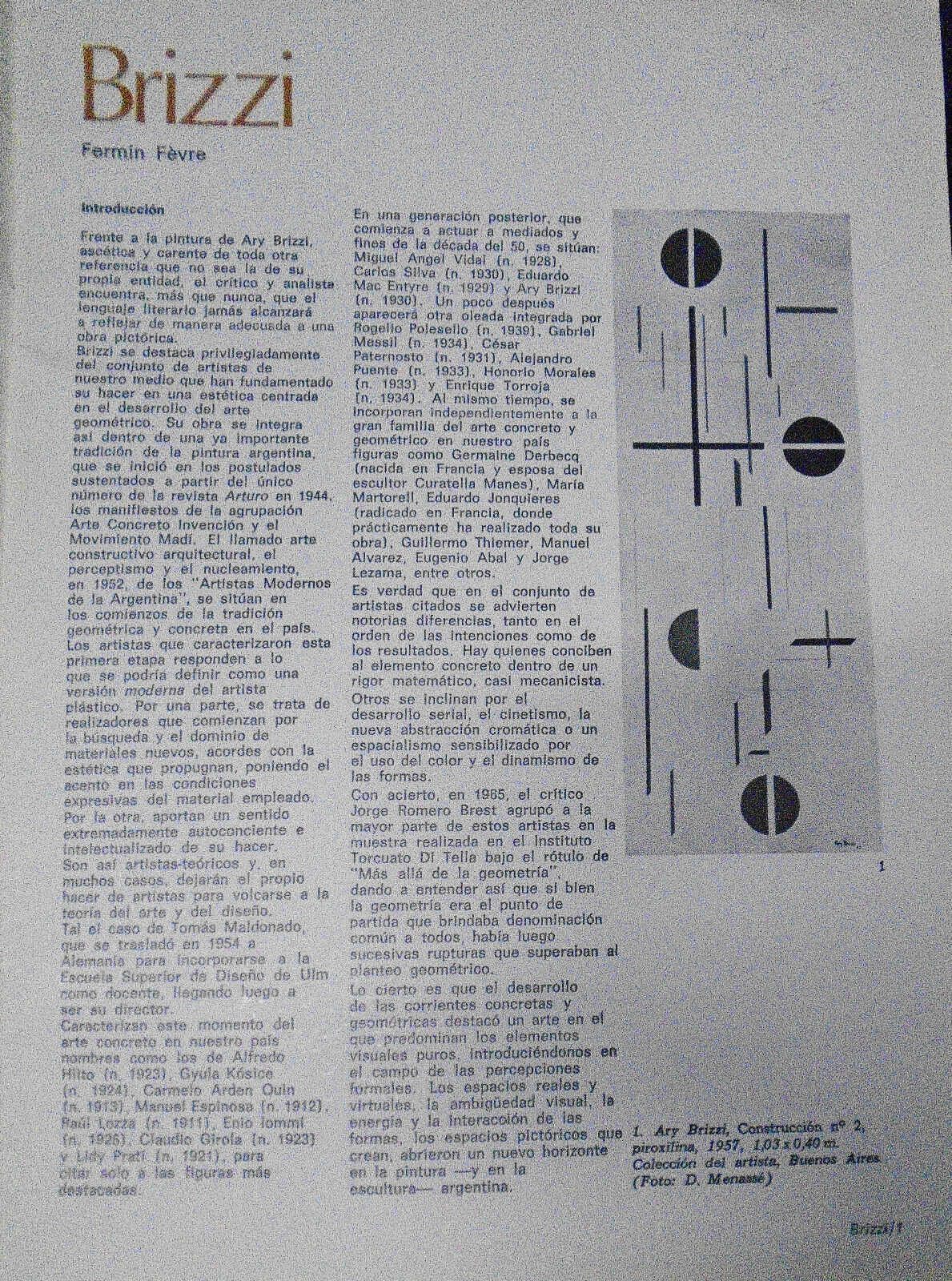 Brizzi : Pintores Argentinos del Siglo XX, 39. 1981. Text by Fermin Fevre