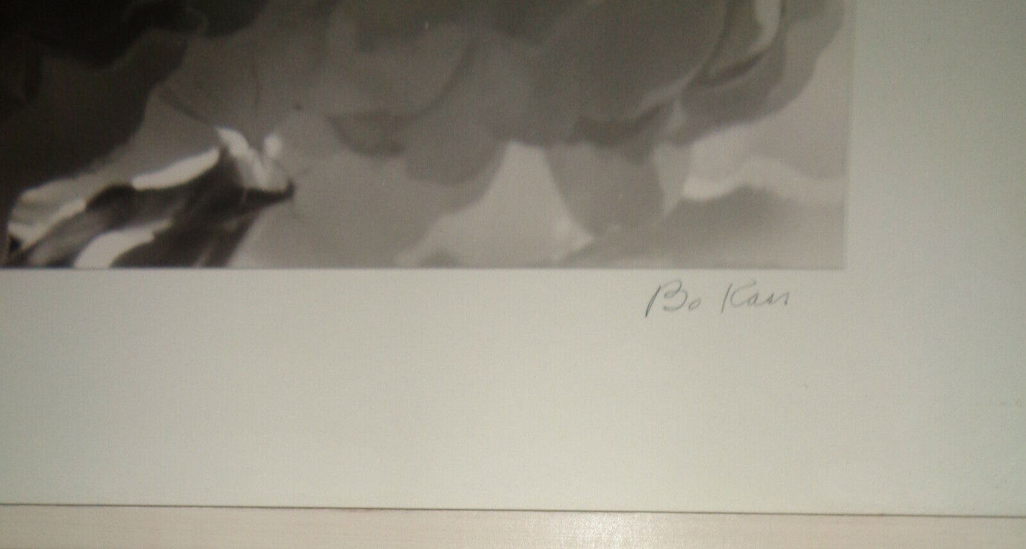 Bo Kass: Peonies - SIGNED original Silver Gelatin photograph, Framed