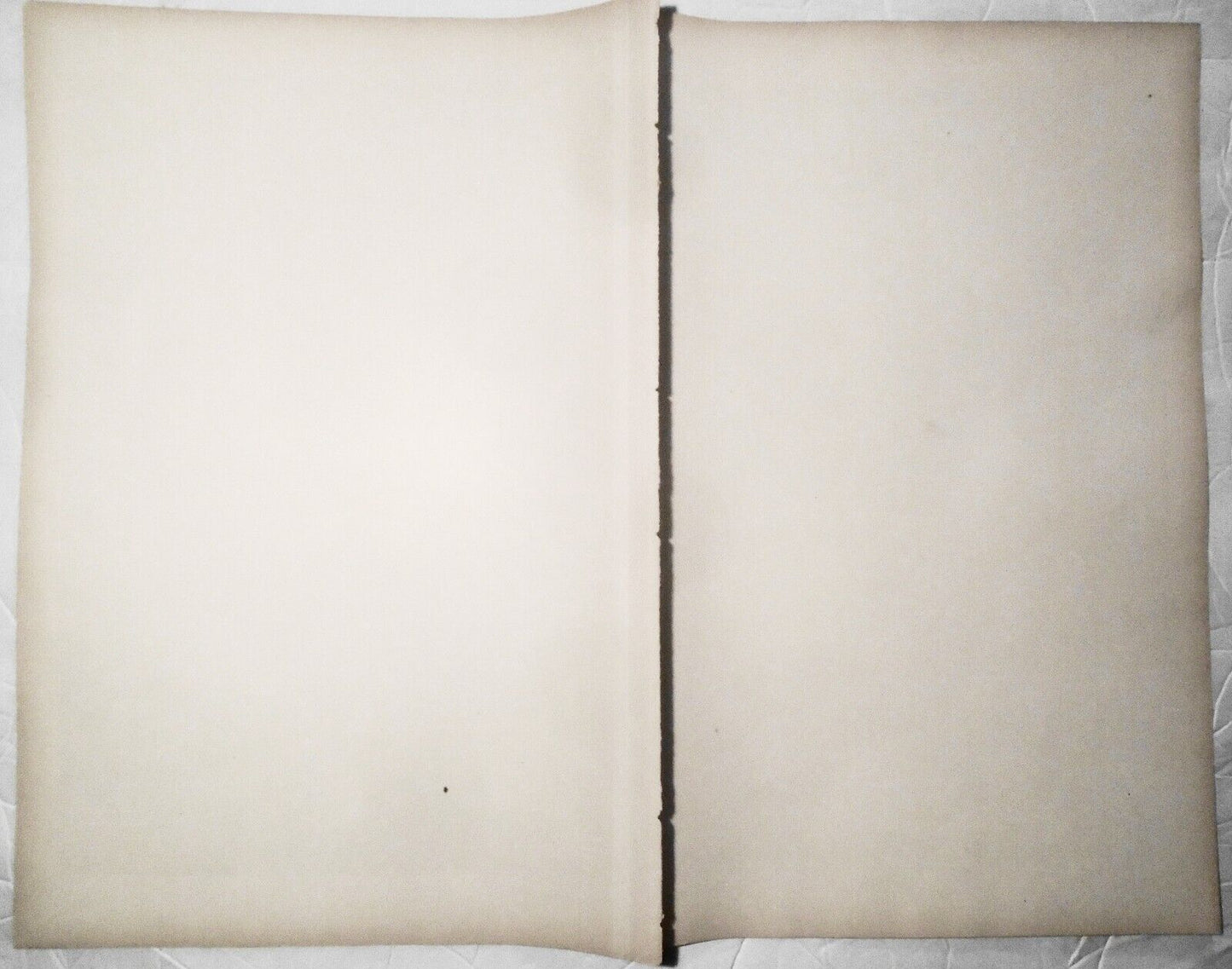 Ein Auswandererschiff. Originalzeichnung von Knut Ekwall - 1882 - 16 x 22 in