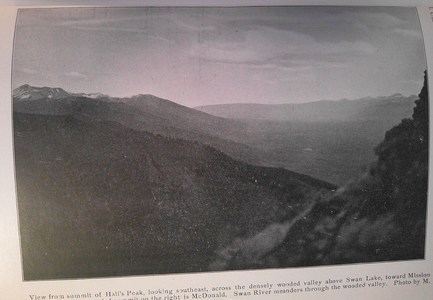1903 Additional notes to Summer birds of Flathead Lake... Swan Lake by Silloway