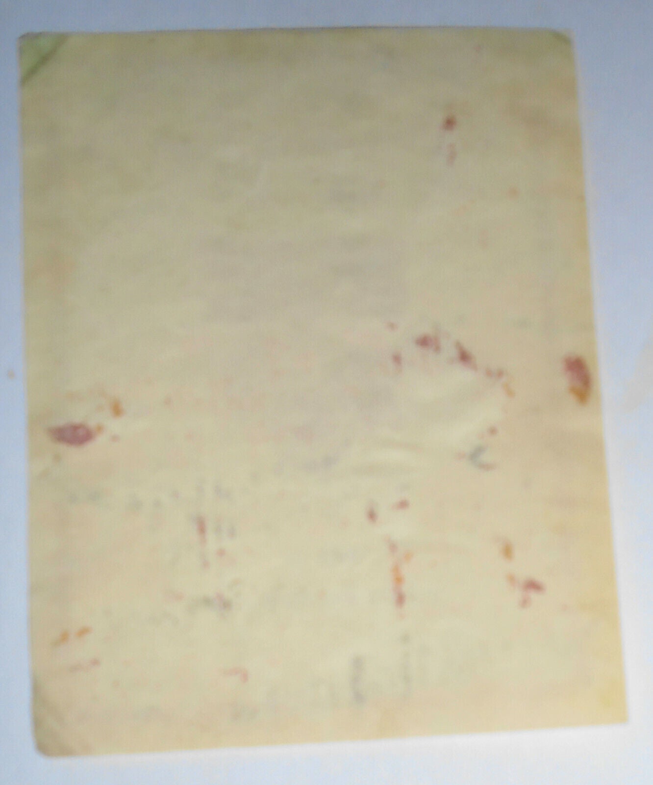 University Of Chicago Libraries - Julius Rosenwald Gift Bookplate - Circa 1900