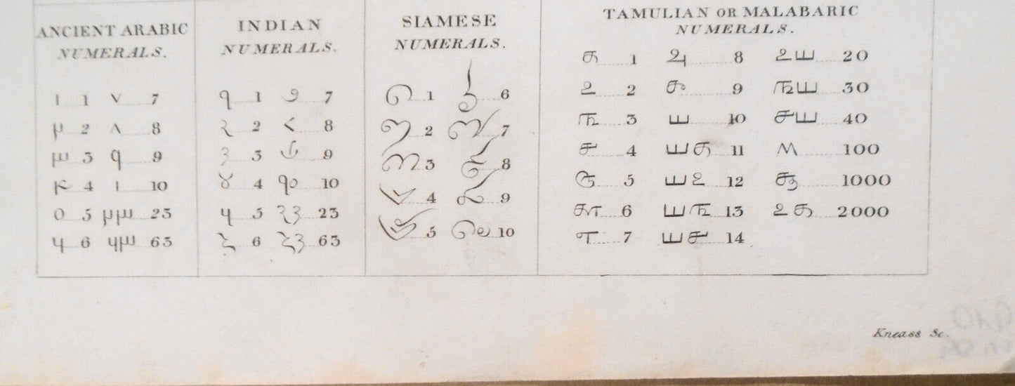 1832 Check. Character. Check and Pullicate Lay for Power Looms, by John Duncan