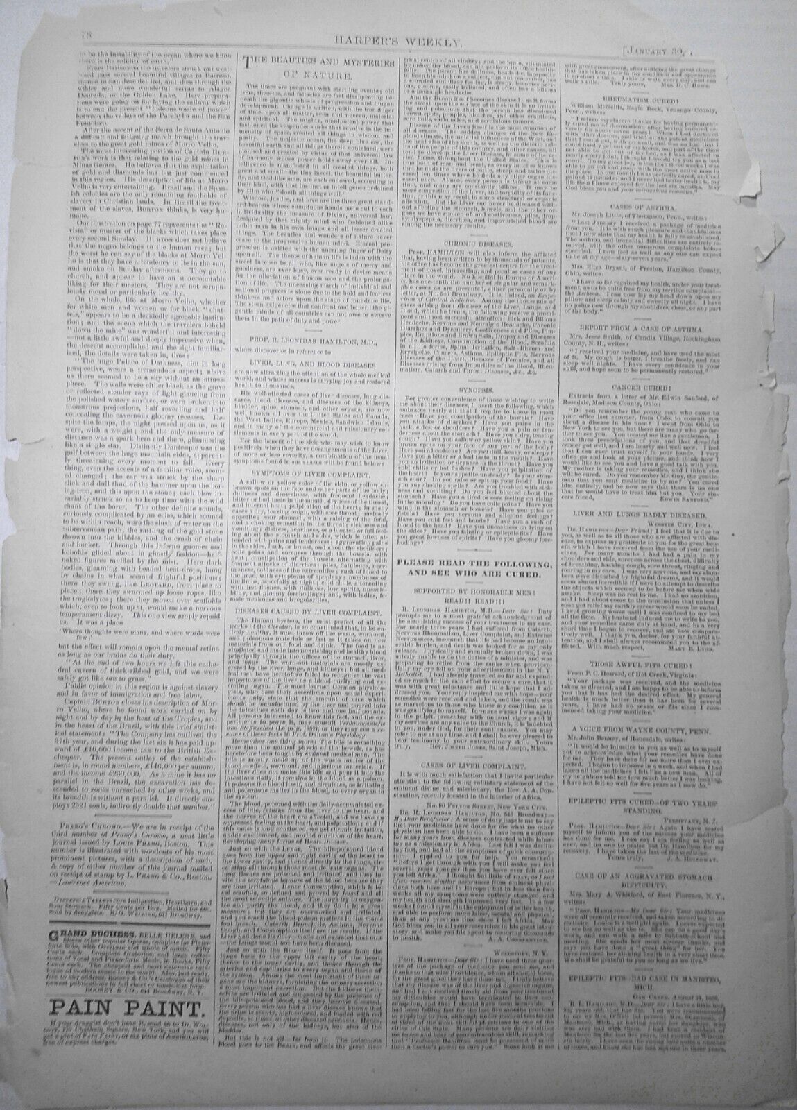 1869 Highlands of Brazil Fortnightly Slave Muster; Charge of Chasseurs of Madrid