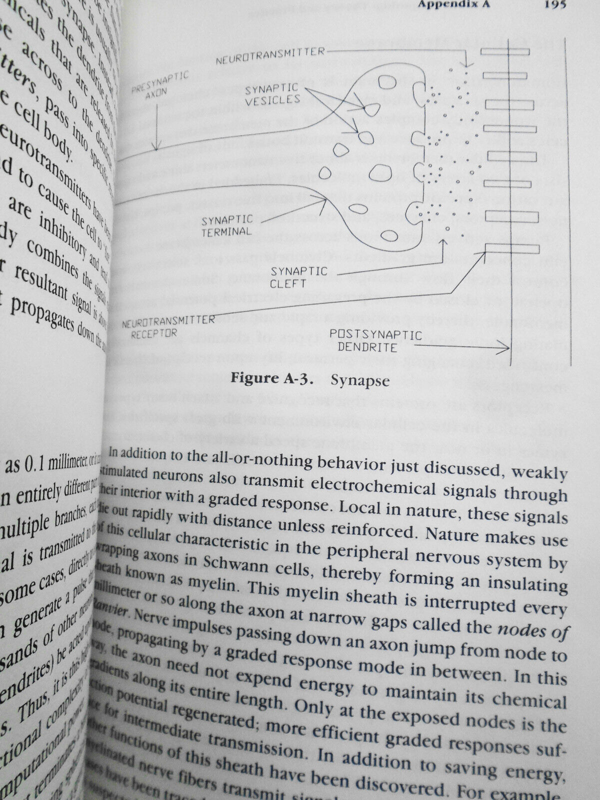Neural computing : theory and practice, by Philip D. Wasserman. Hardcover 1989
