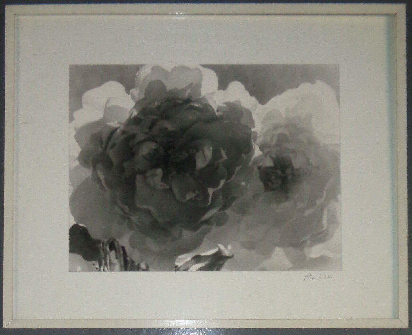 Bo Kass: Peonies - SIGNED original Silver Gelatin photograph, Framed