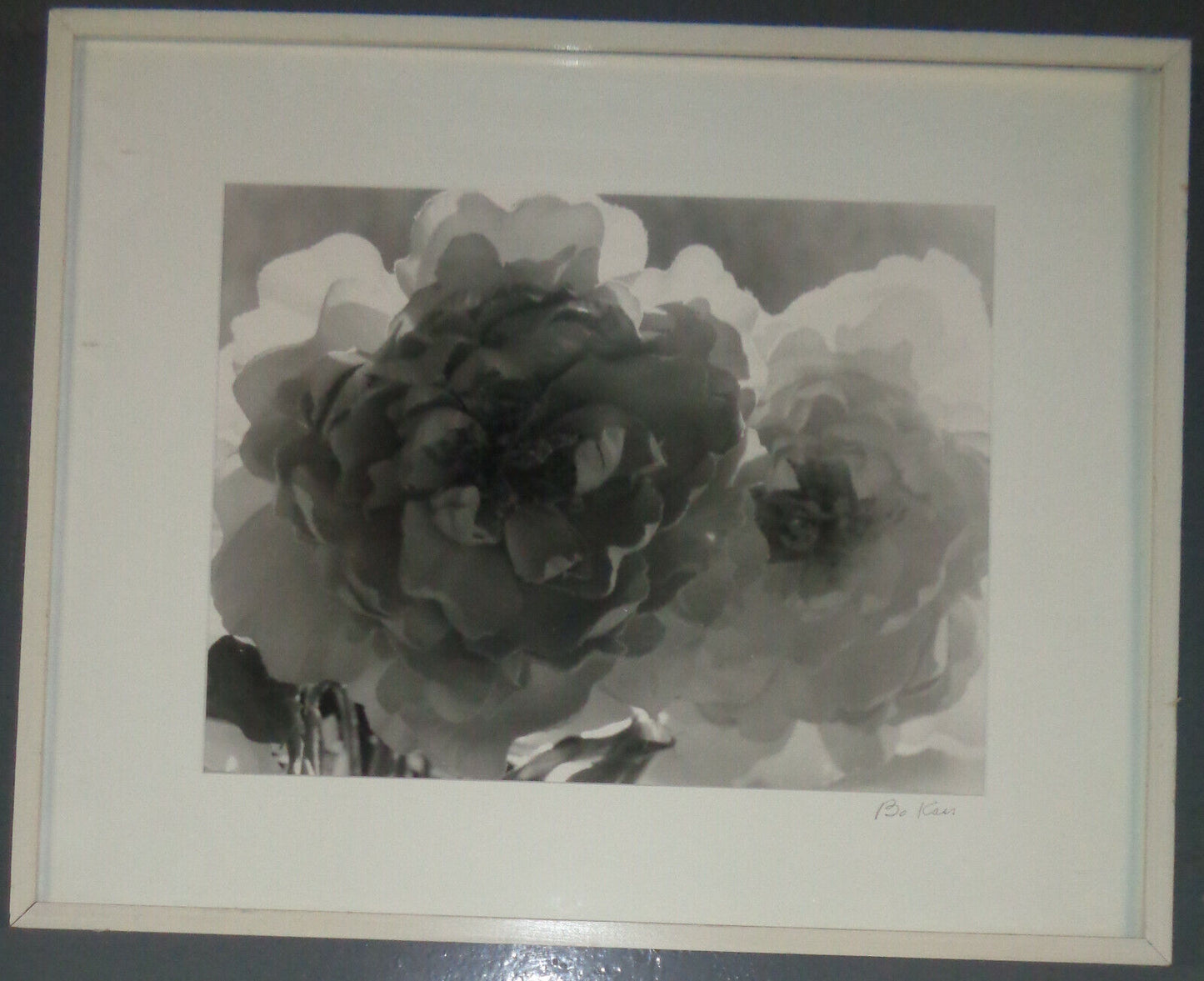 Bo Kass: Peonies - SIGNED original Silver Gelatin photograph, Framed