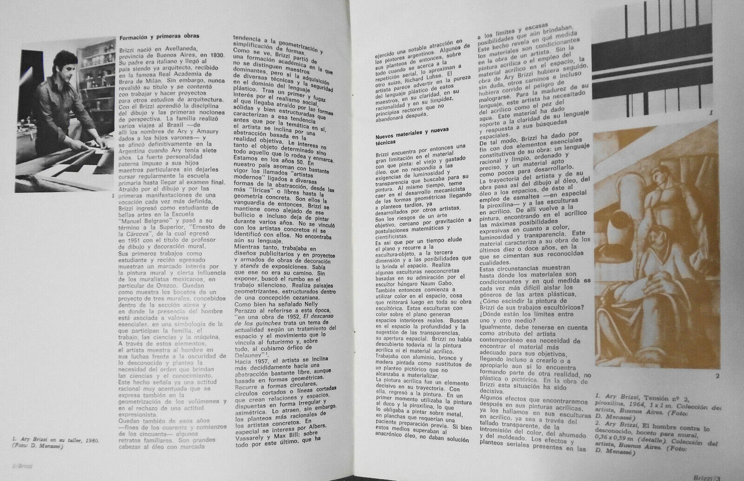 Brizzi : Pintores Argentinos del Siglo XX, 39. 1981. Text by Fermin Fevre