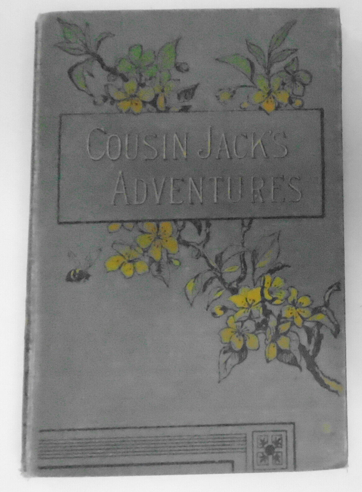 Cousin Jack's Adventures. 1887.