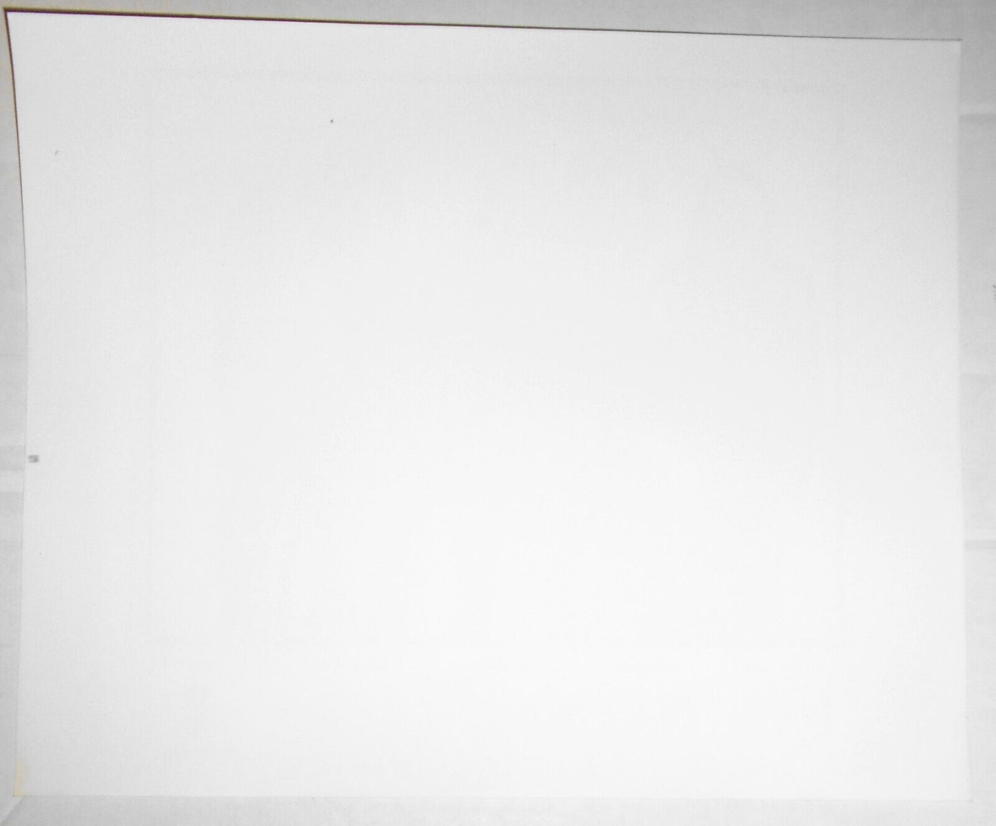 Shaking Family, original 8x10" press photo, ca 1990