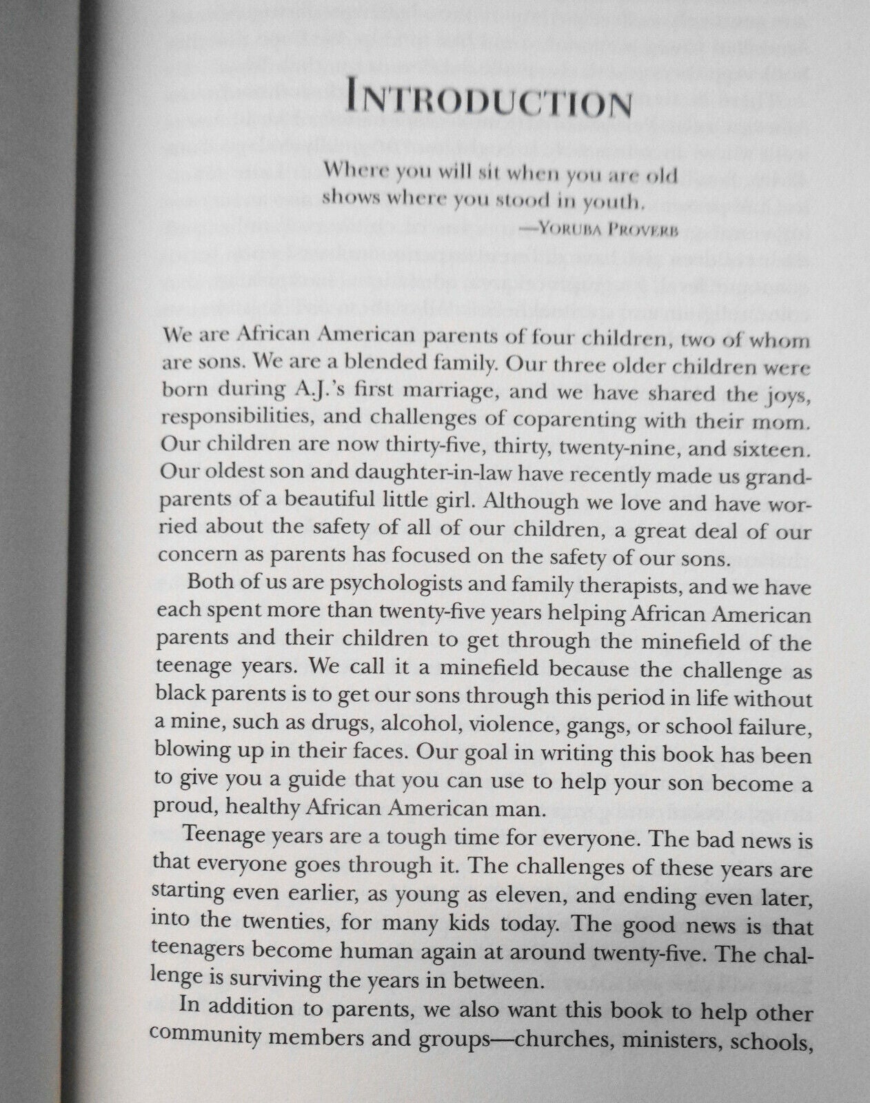 Boys into Men: Raising Our African American Teenage Sons by Boyd-Franklin
