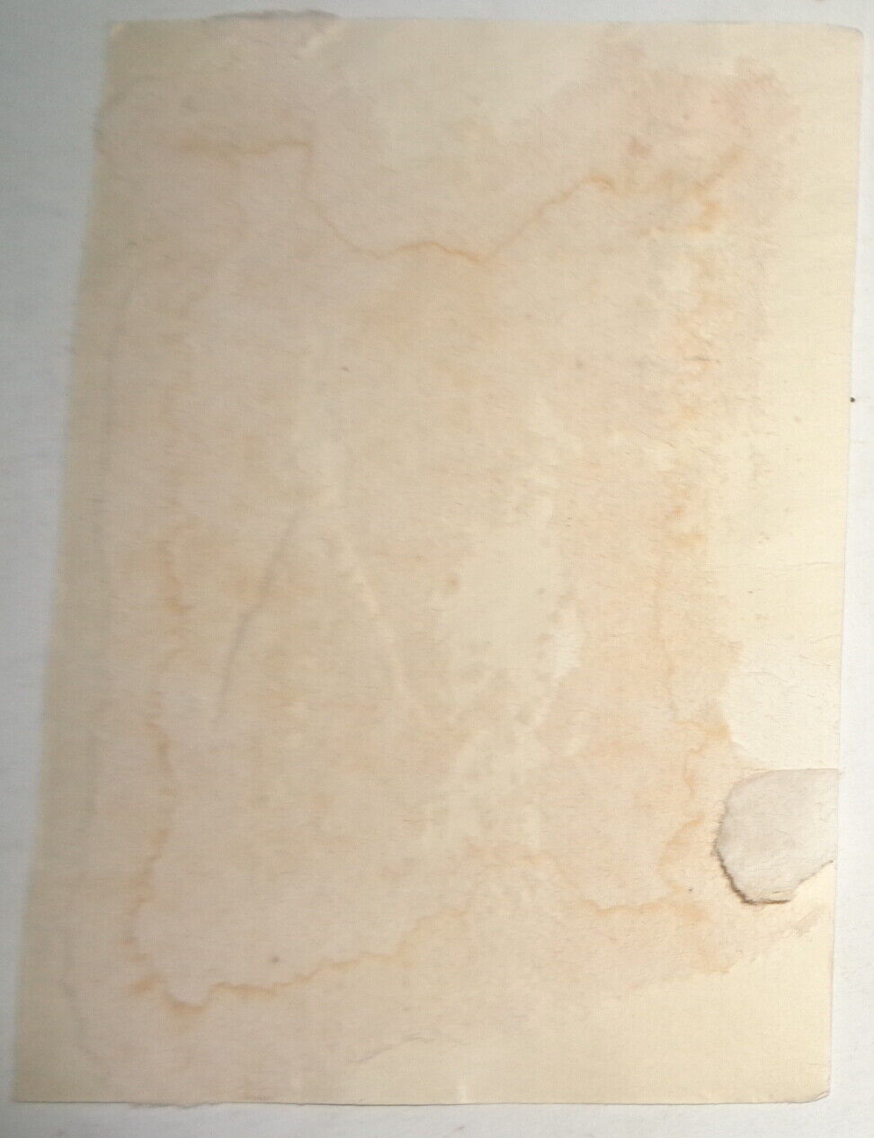 Waring Historical Library of the Medical University South Carolina, Bookplate